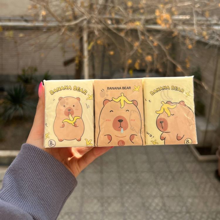 دستمال کاغذی جیبی طرحدار کاپی بارا
